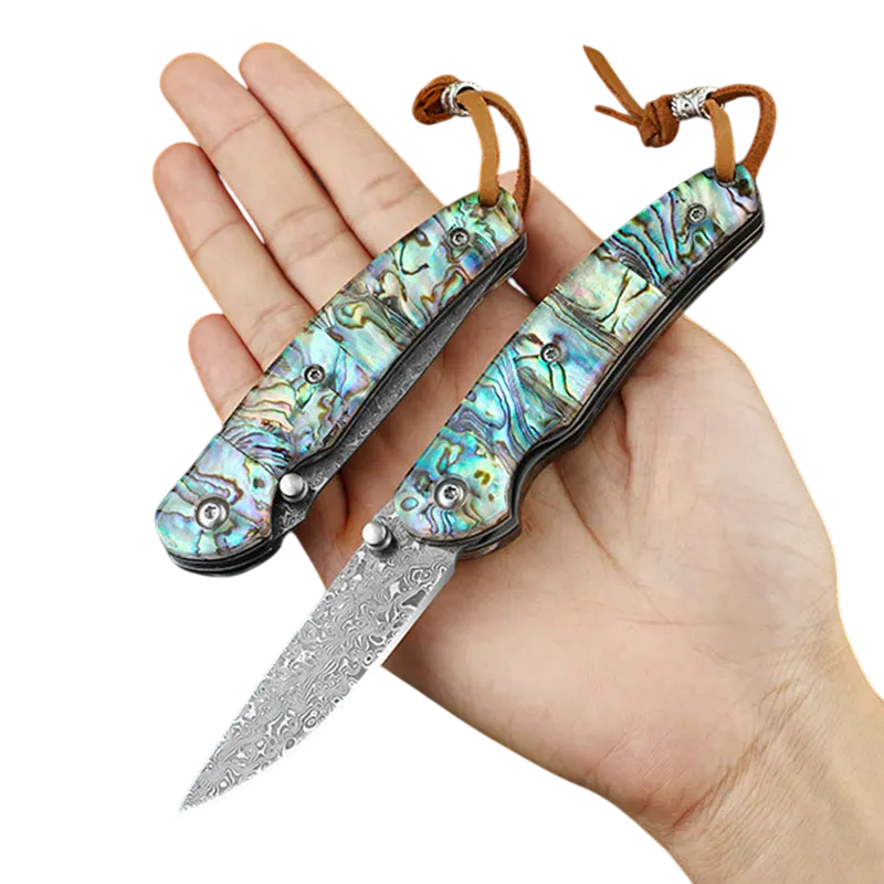 Vrai Couteau Damas en Main